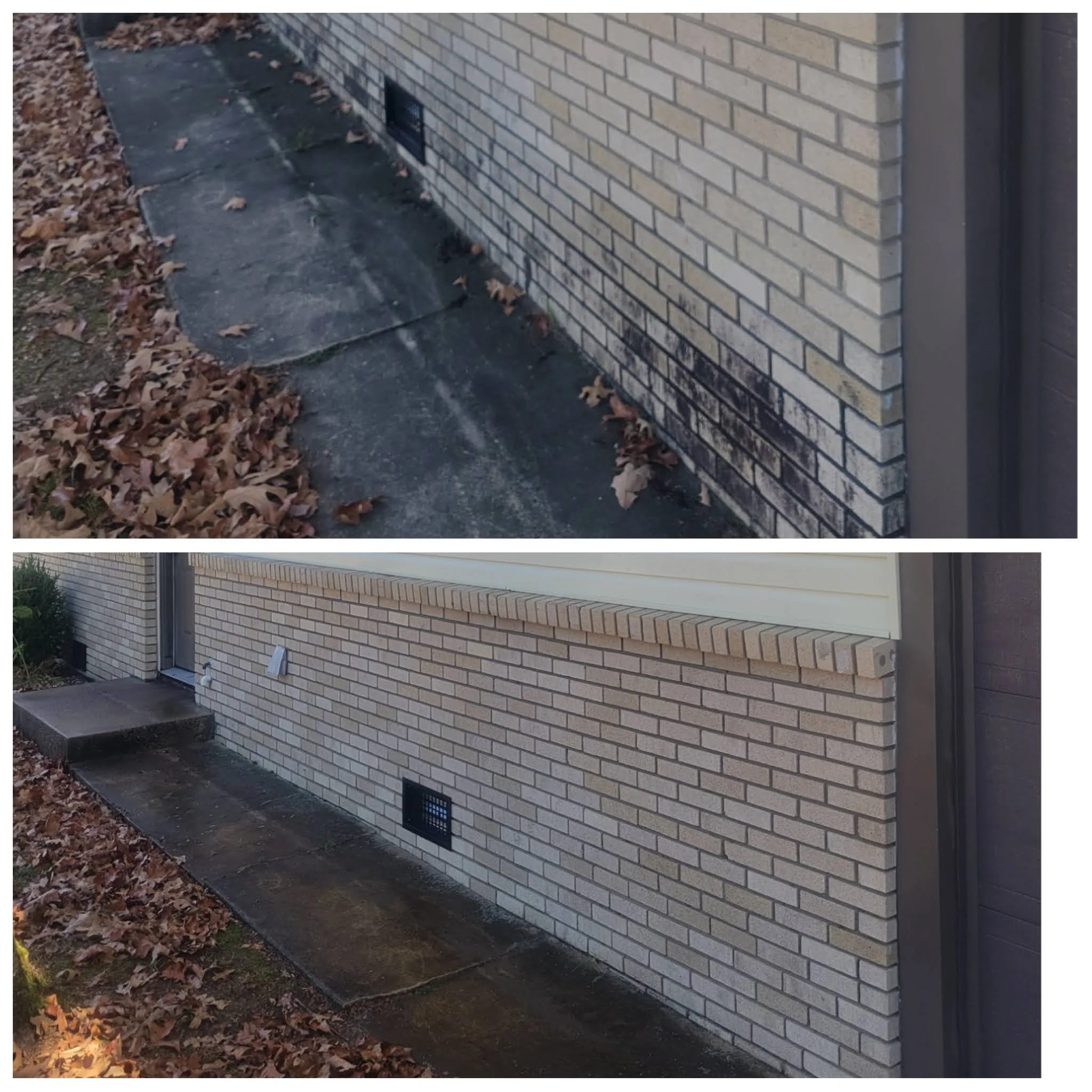 PhotoCollage_1697123685198.jpg