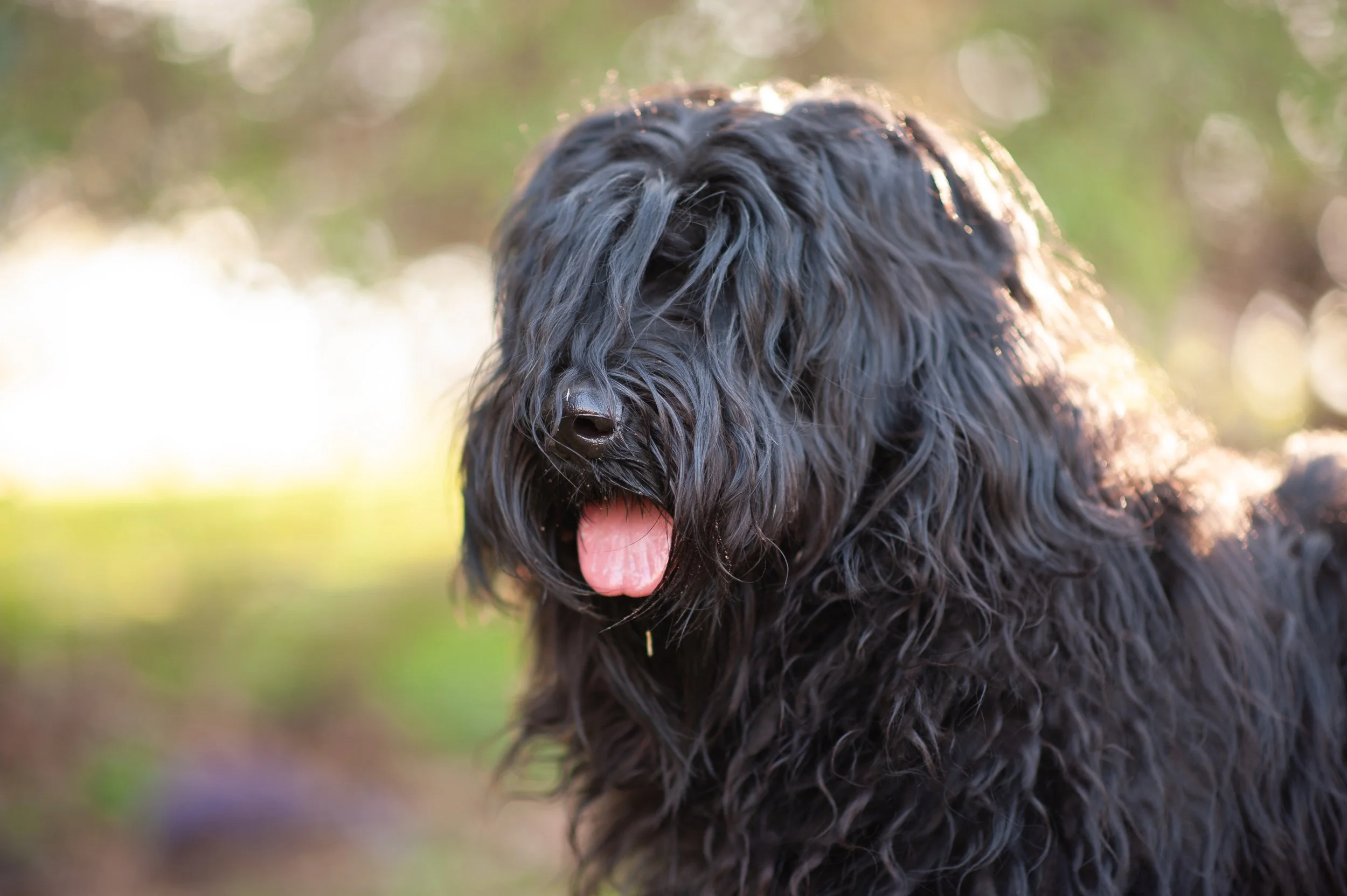 Photo by Jeanine Dell'Orfano