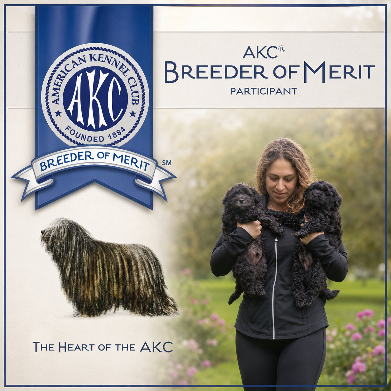 AKC Breeder of Merit Alp Angel Bergamascos