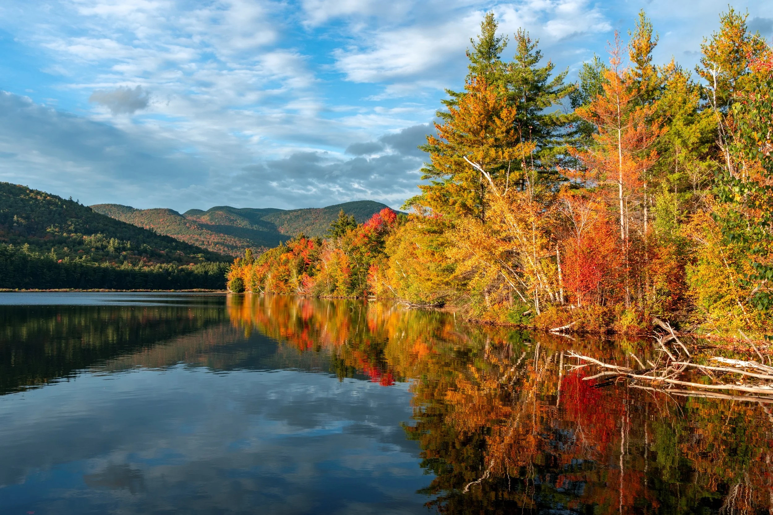 Reflection Pond