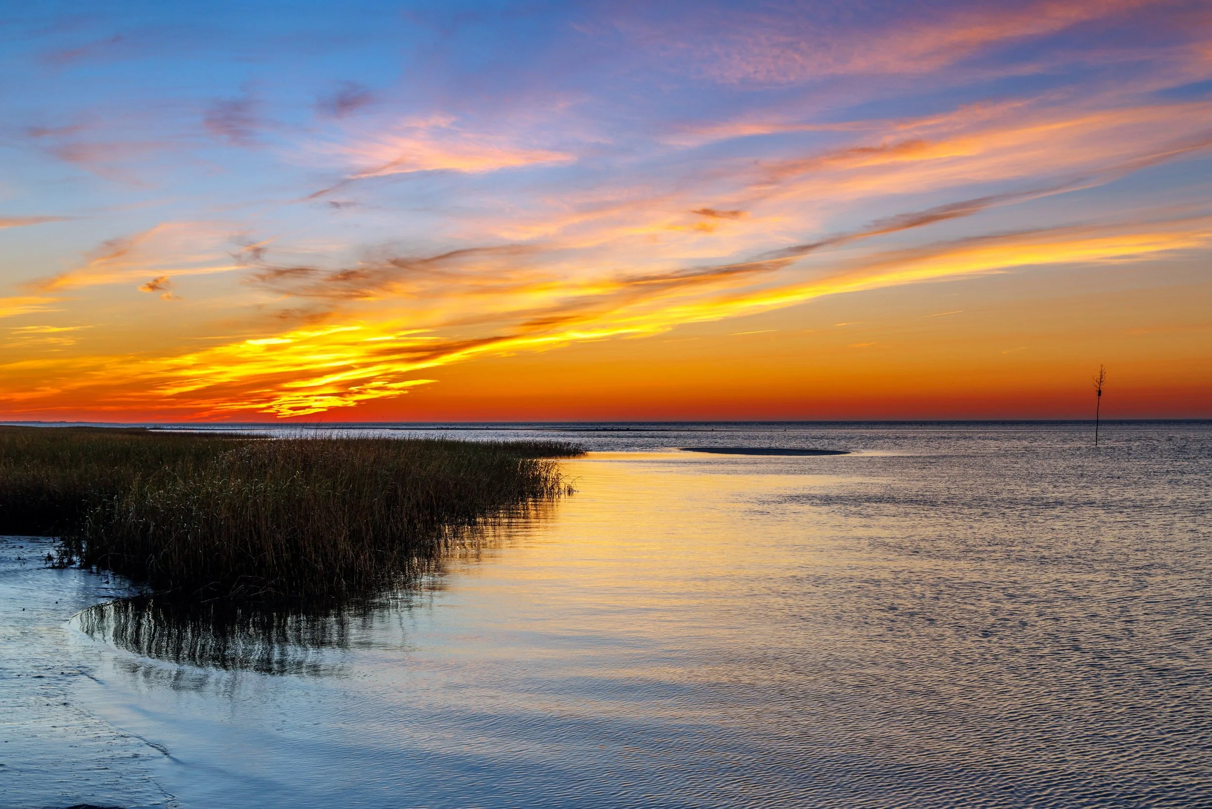 Rock Harbor 10-2024.jpg