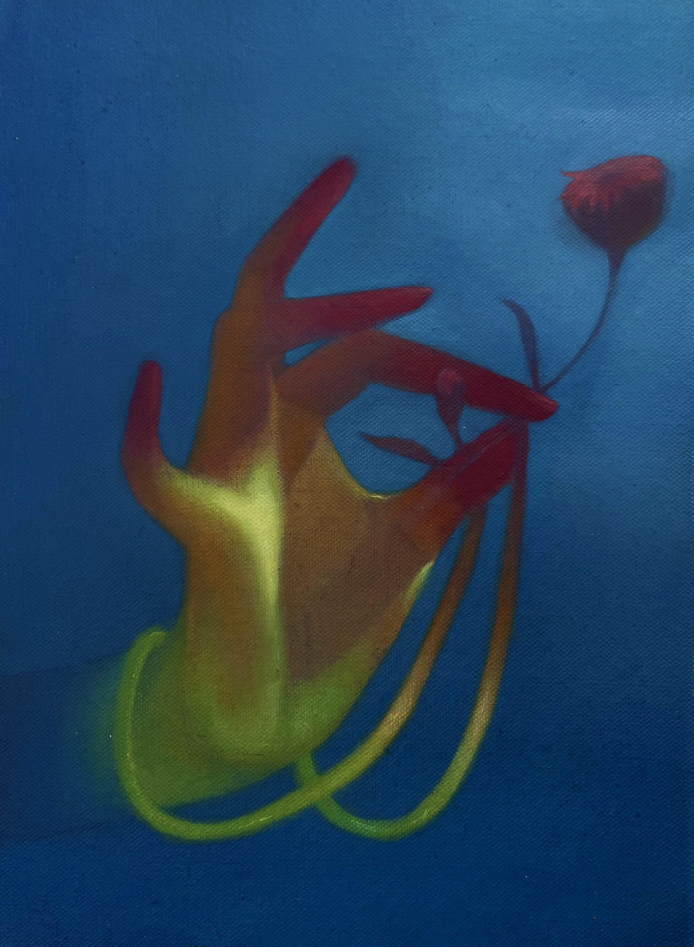 Gods touch
Oil on canvas
12 × 9 in, 2026