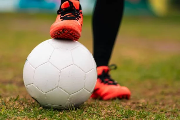 Athletes Seeking Asylum: Calls for Reform to Protect Players from Political Risks