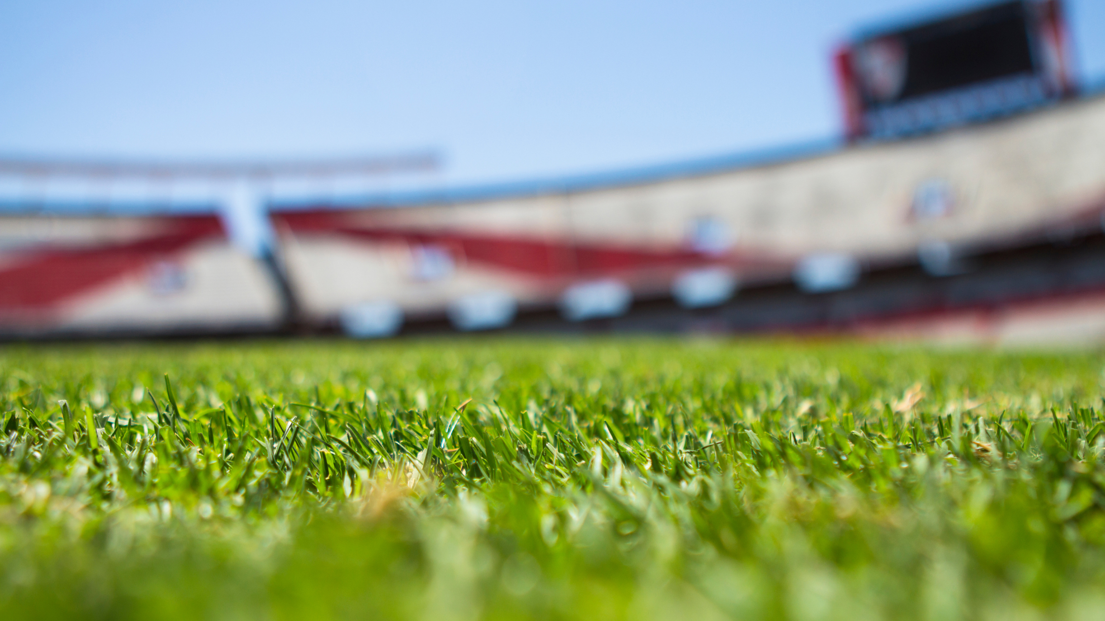 Homophobia on the Field: Are the Current AFL Penalties Missing the Mark?