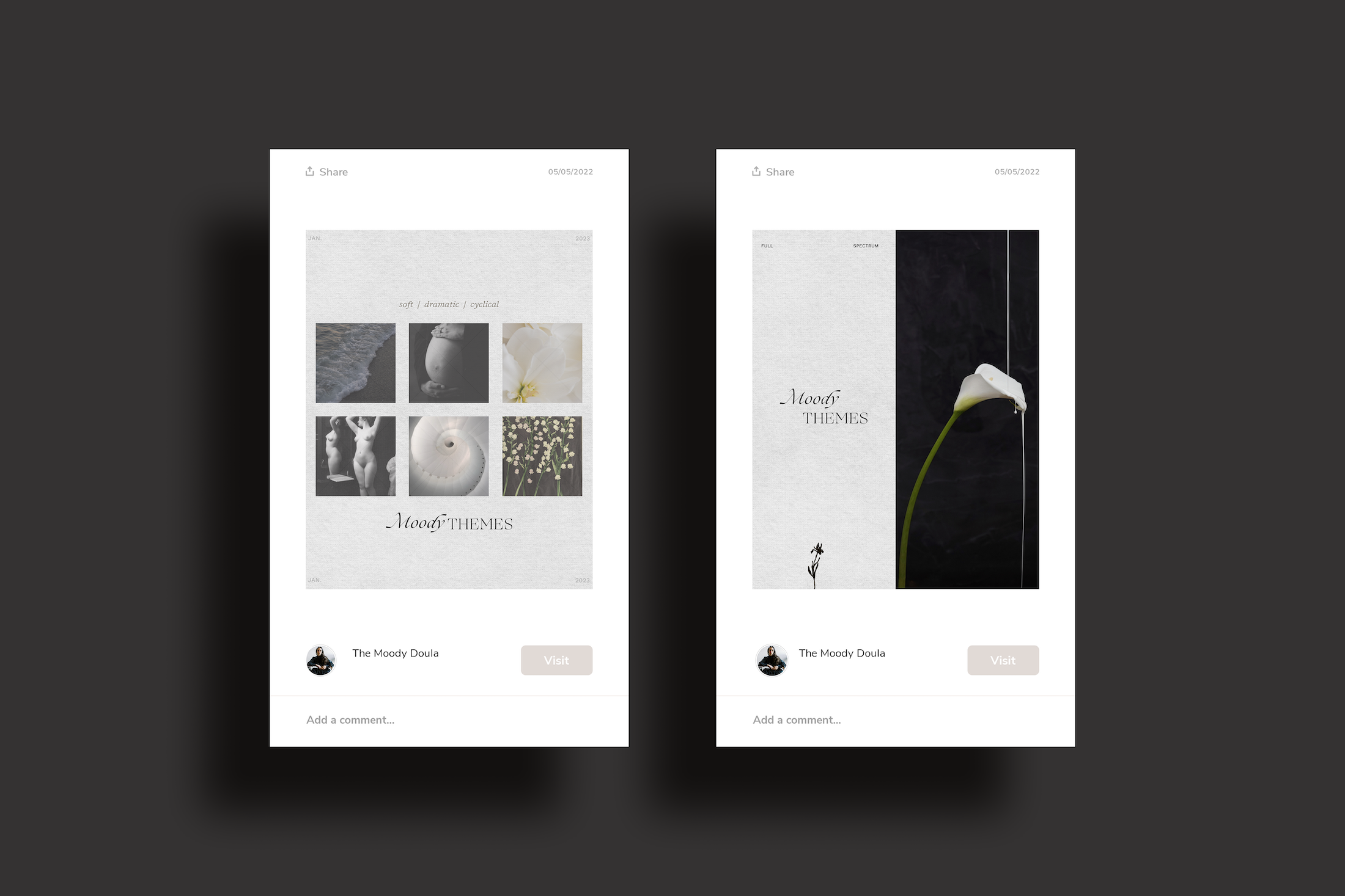 Branding — WILDCRAFT STUDIO