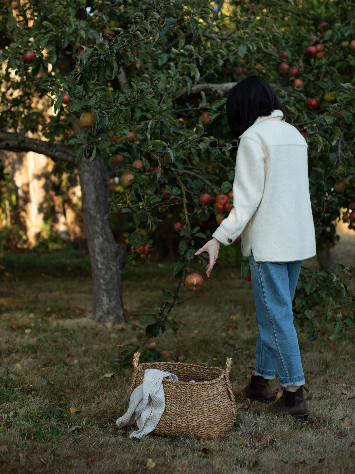 Autumn in Skagit with @thekinlands 

The perfect itinerary for enjoying the magic of Skagit is staying in an old farmhouse, morning pastries at @breadfarm and taking a peruse through @hedgerow_edison 

Then head South for day trip to La Conner &mdash