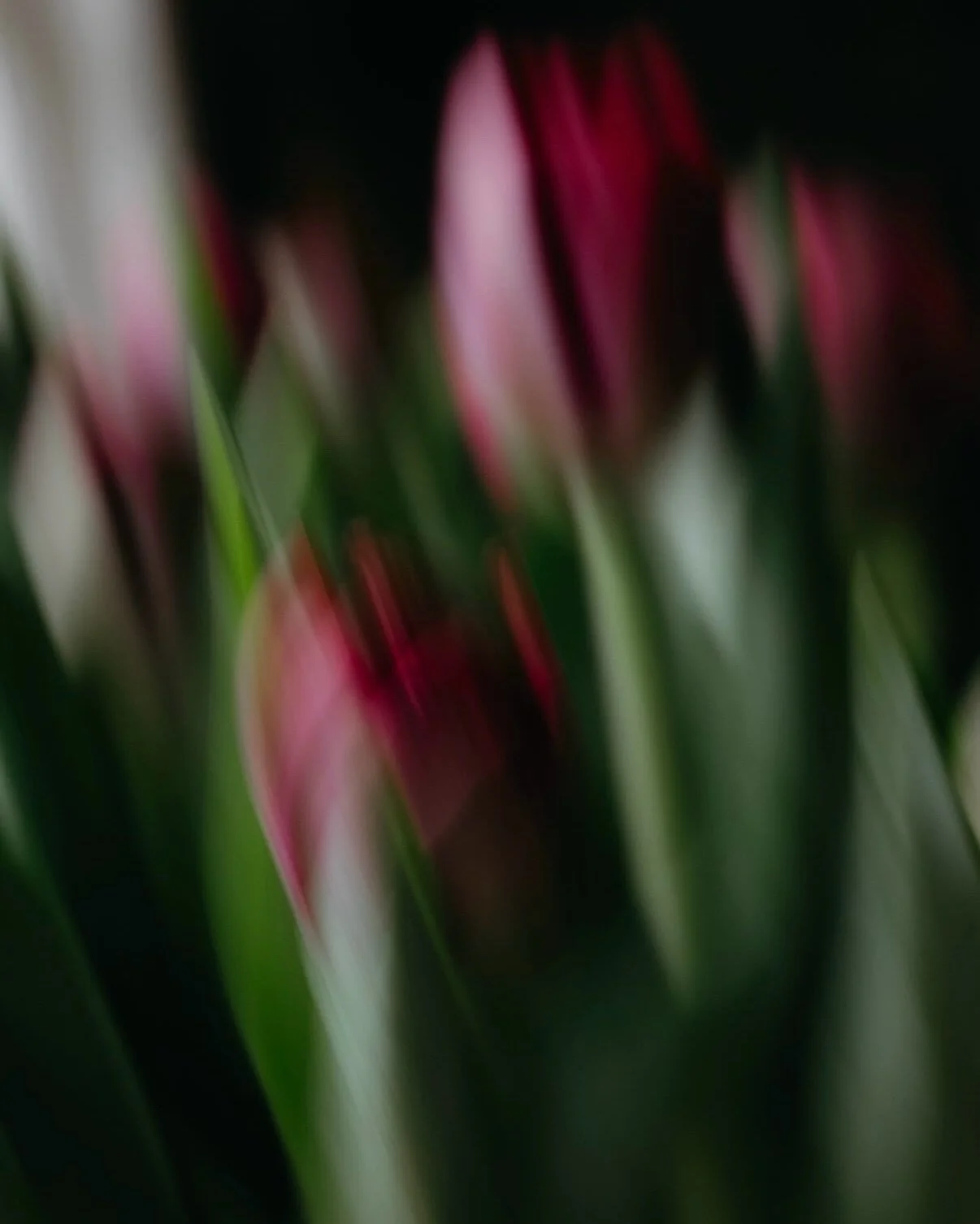 impression

.
.
.
.
.
nothing will ever be what you planned, evergreen in your mind.