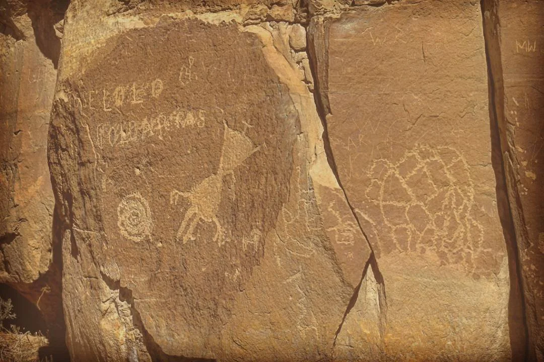 Ancient rock carvings with petroglyphs depicting animals and symbols on a stone surface.
