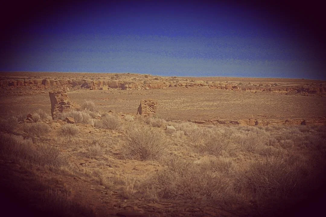 Desert landscape with sparse vegetation and distant rock formations under a clear blue sky.