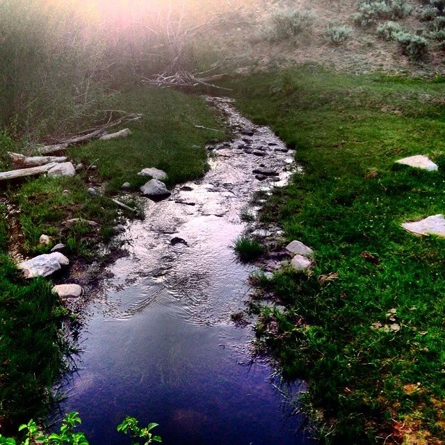 Small stream in a grassy area with surrounding rocks and vegetation, under soft sunlight.