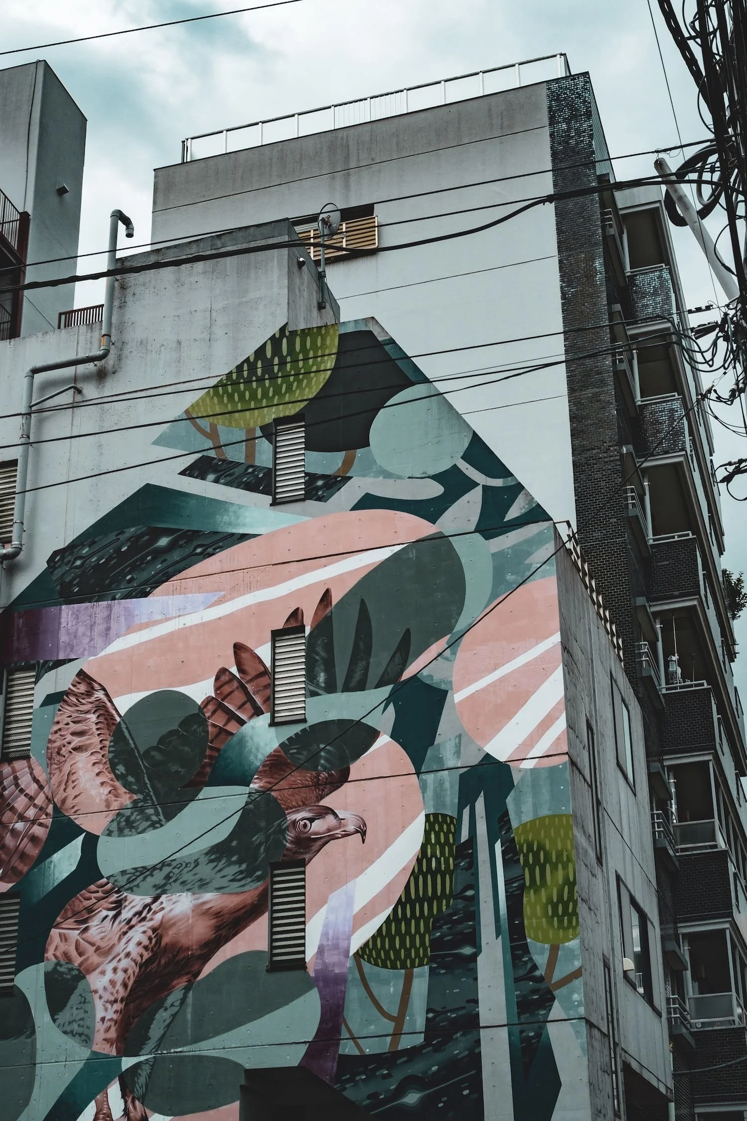 Street art mural on the side of a building featuring abstract shapes and a hawk's head in a natural habitat setting.