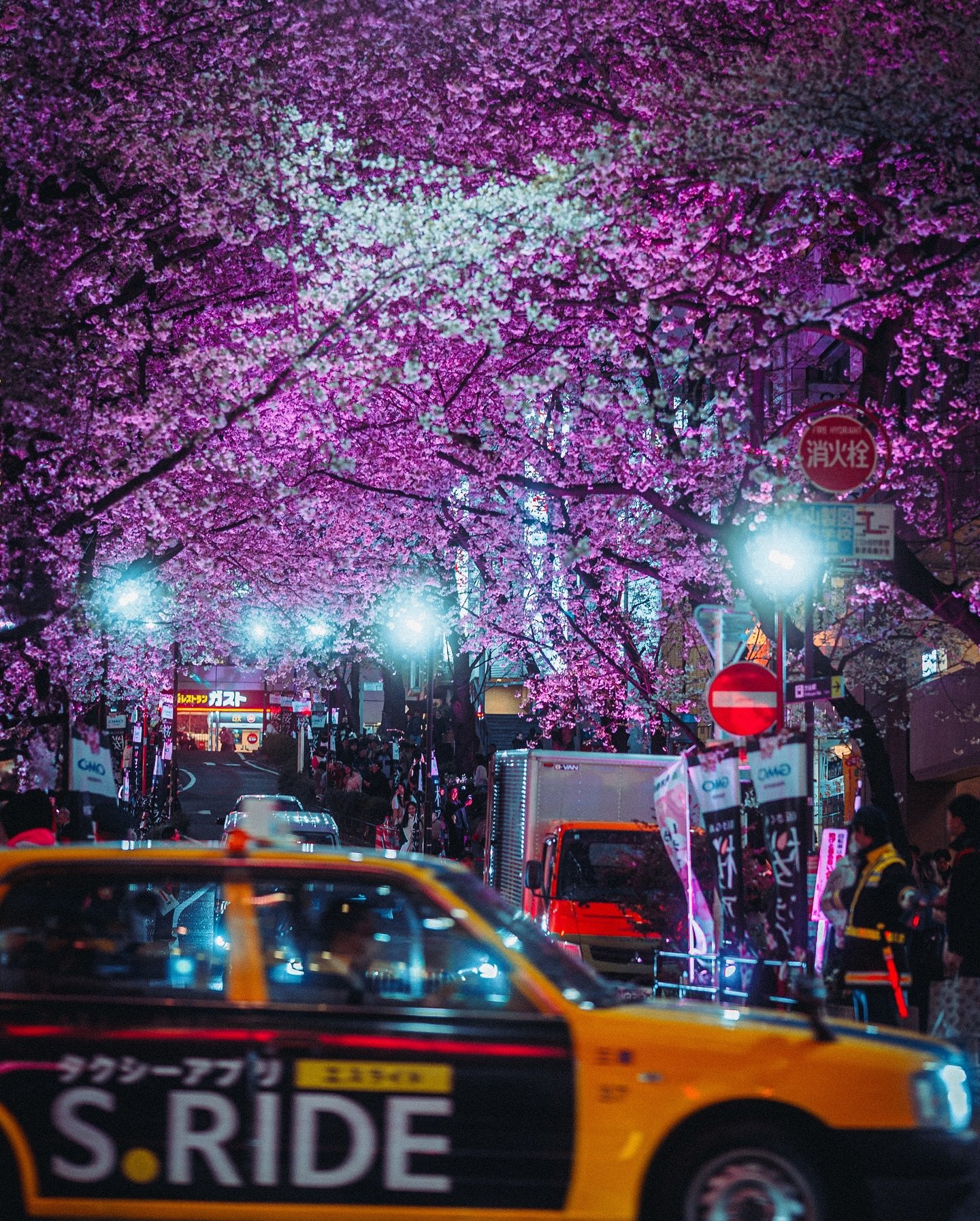 Could you enjoy the cherry blossoms in Japan this year? 🌸

It&rsquo;s been a cold and wet cherry blossom season hasn&rsquo;t it? ☔️⁣⁣

In years past this famous spot in Shibuya had beautiful lanterns lit up on the street and a lot less security 🫤 N