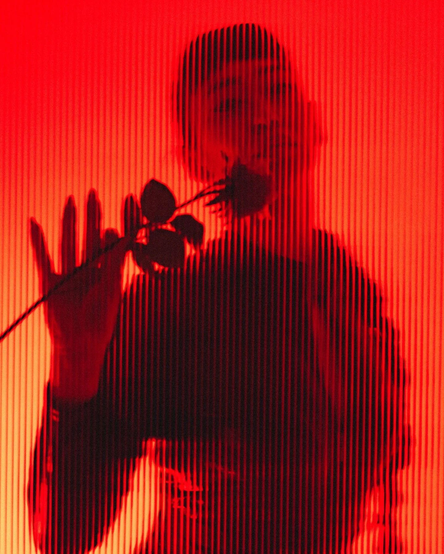 &ldquo;Through this new frame of mind&thinsp;&thinsp;
A thousand flowers could bloom&rdquo;&thinsp;&thinsp;
&thinsp;&thinsp;&thinsp;
In studio with the enchanting @lily_yurika_ last year playing with textured acrylic&hellip; I&rsquo;ve been meaning t