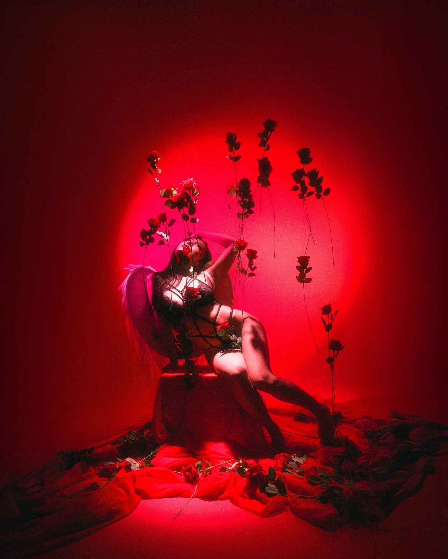 Fly on, little wing 🪽 &thinsp;
&thinsp;
In anticipation of this year&rsquo;s Valentines 💌 &hellip; a few more shoots are on the way to satisfy all you lovers and romantics out there so stay tuned ❤️&zwj;🔥&thinsp;
⁡&thinsp;&thinsp;
&mdash;&mdash;&m