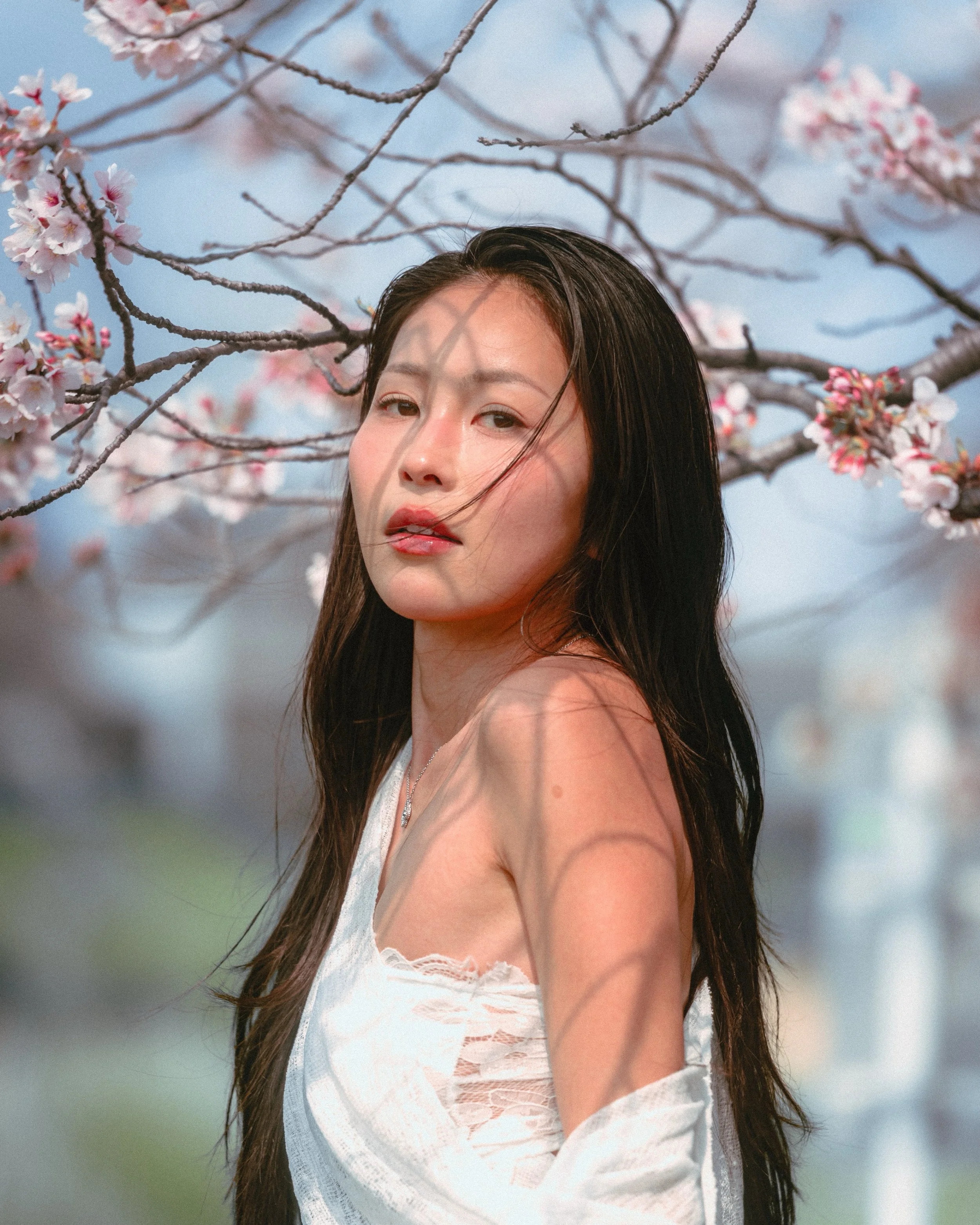 Between petals and light&hellip;&thinsp;
&thinsp;
Thanks for bringing me to one of your favorite spots for an afternoon of fun spring shooting in a field of blossoming cherry blossoms 🌸with the captivating @rinatoeda0611&thinsp;
&thinsp;
Part 1&hell