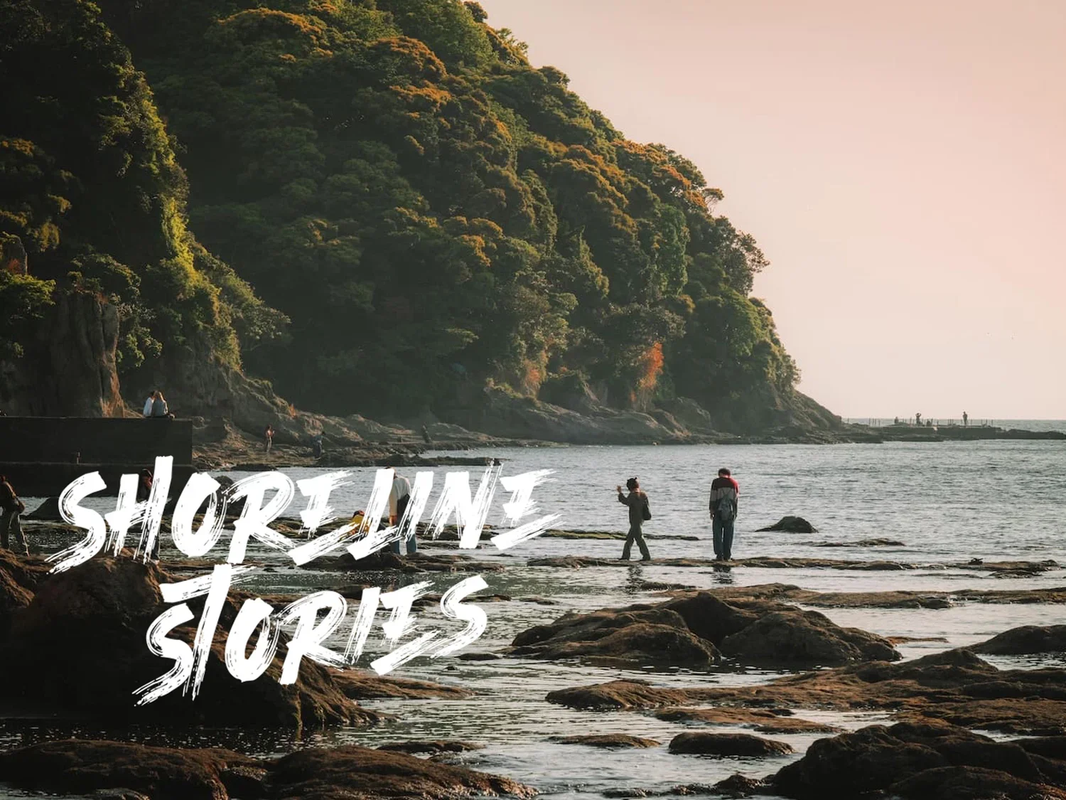 Shoreline Stories