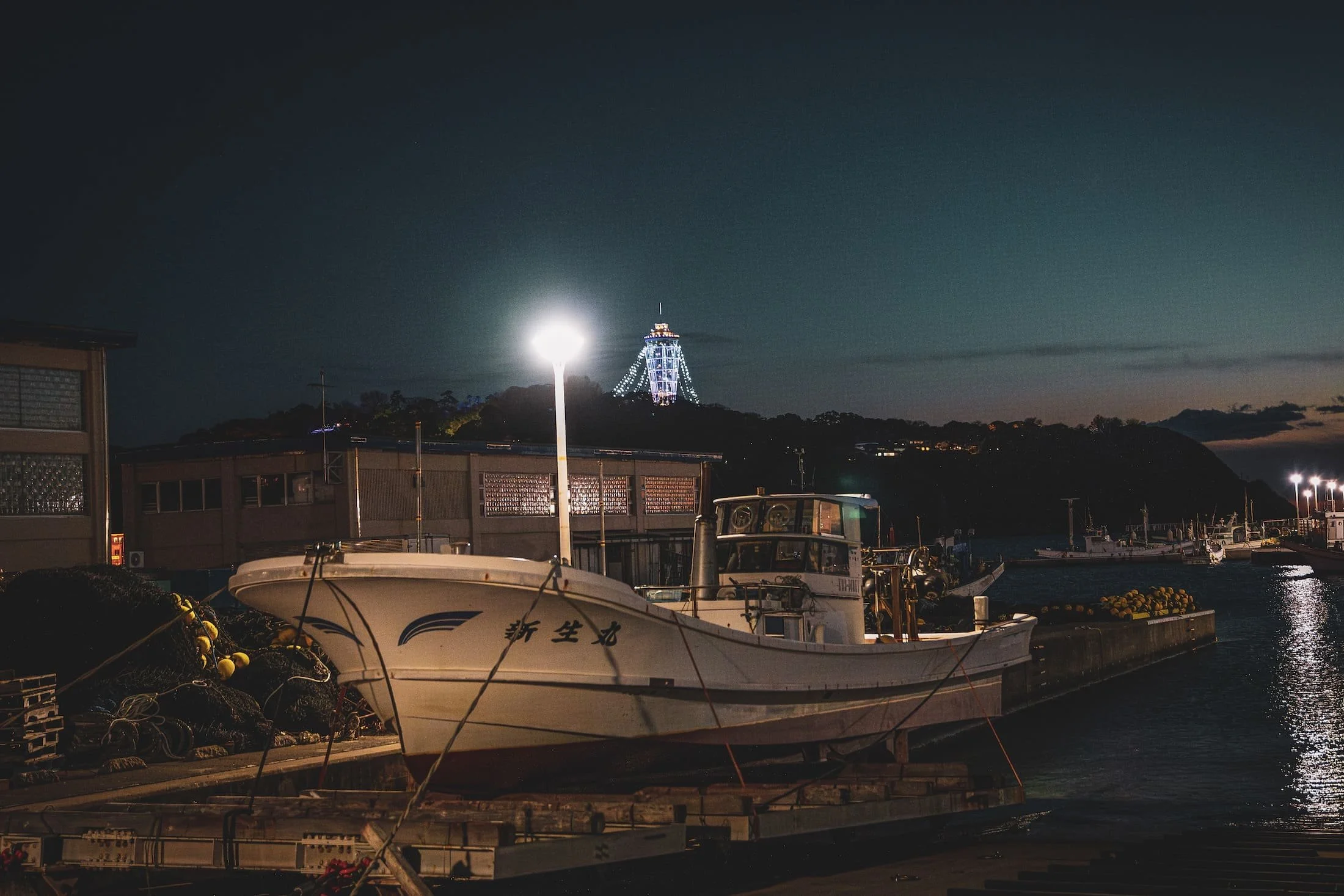 Nighttime view of boats docked at a marina, with a hill in the background featuring a brightly lit tower and a full moon overhead.