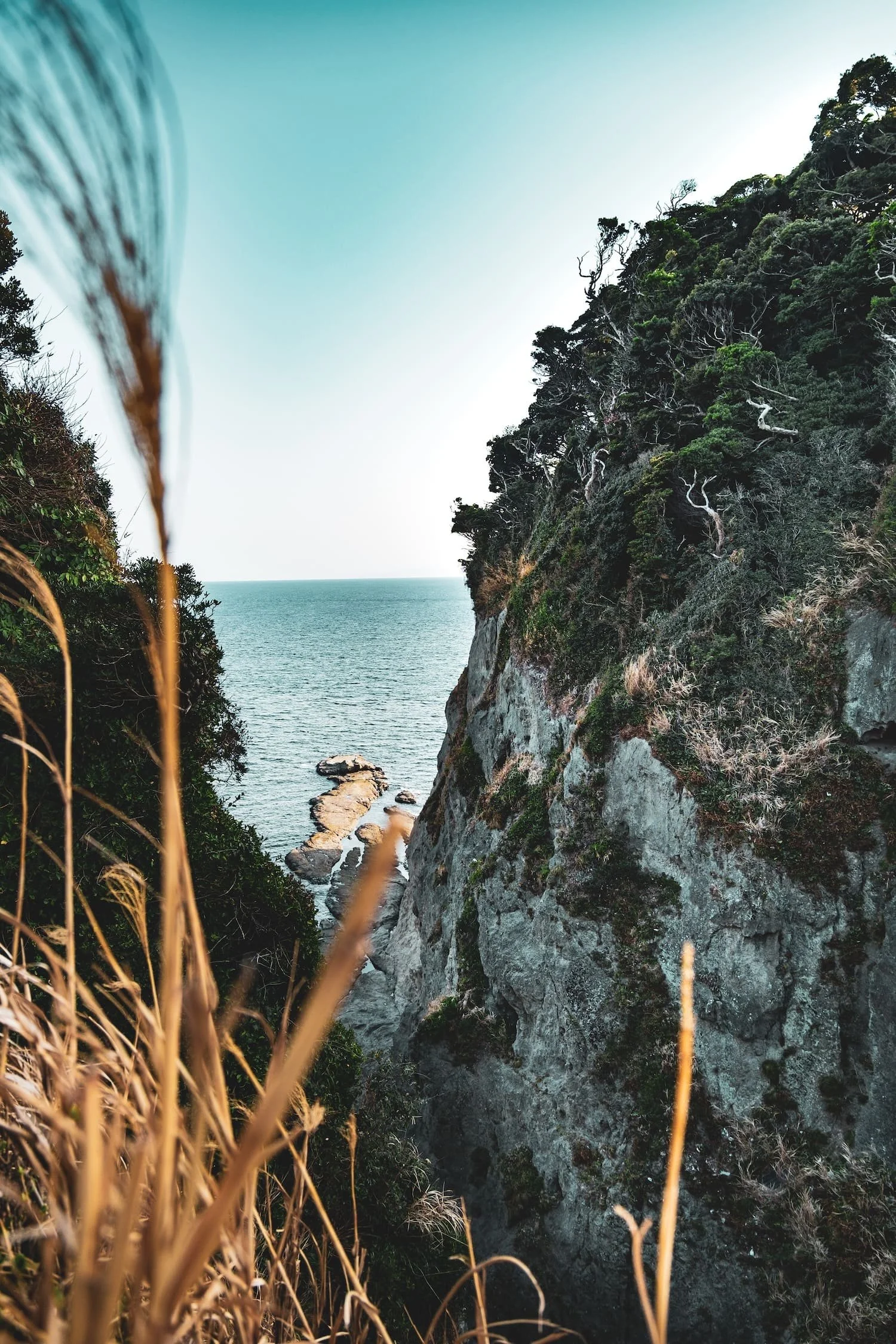 Cliffside coastal landscape with trees and rocks by the ocean under a clear sky.