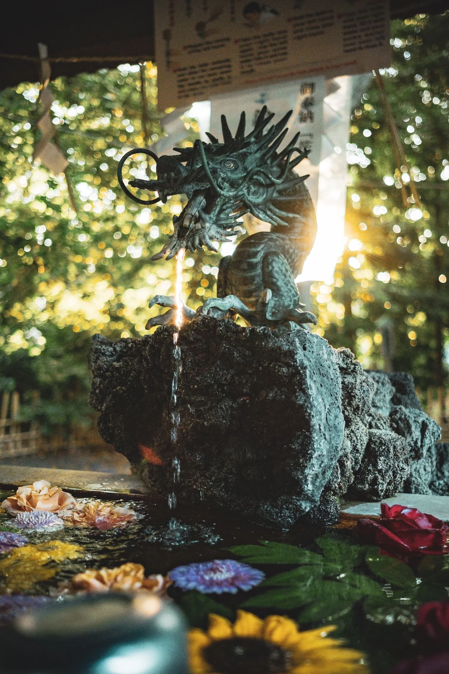 A dragon-shaped fountain with water flowing from its mouth, surrounded by floating flowers in a pond, with sunlight shining through trees in the background.