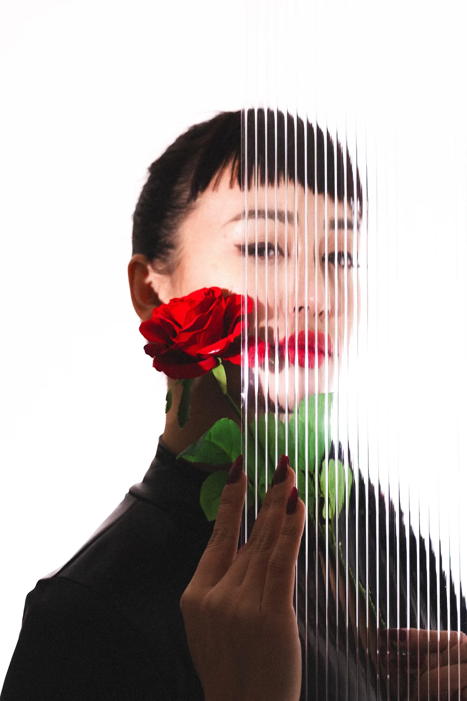 A person with short dark hair, holding a red rose close to their face, behind a translucent textured glass panel with vertical lines, against a plain white background.