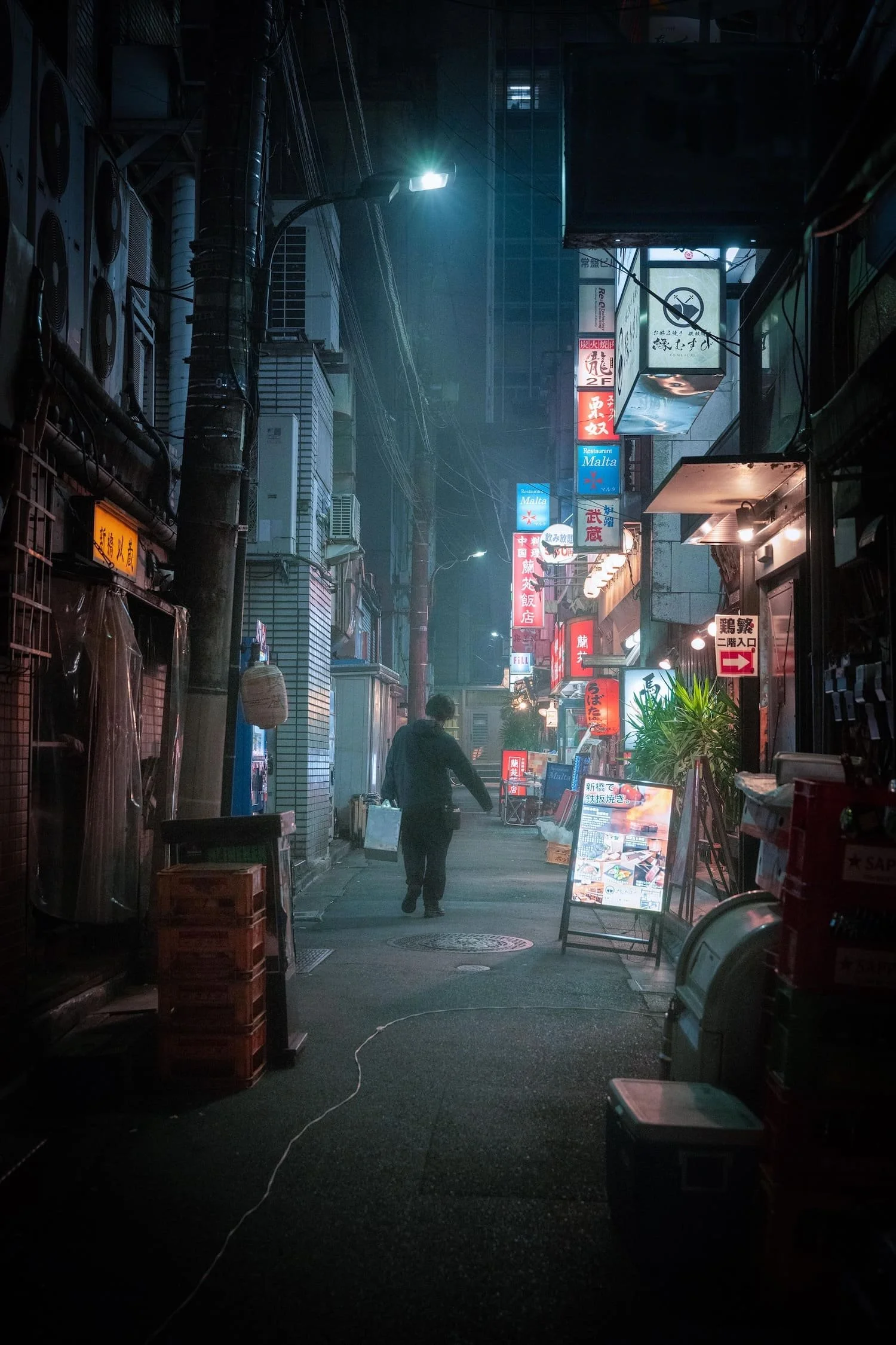A narrow urban alley at night with colorful neon signs in Japanese hanging above, a person walking away, illuminated by streetlights and signs, with closed storefronts along the sides.