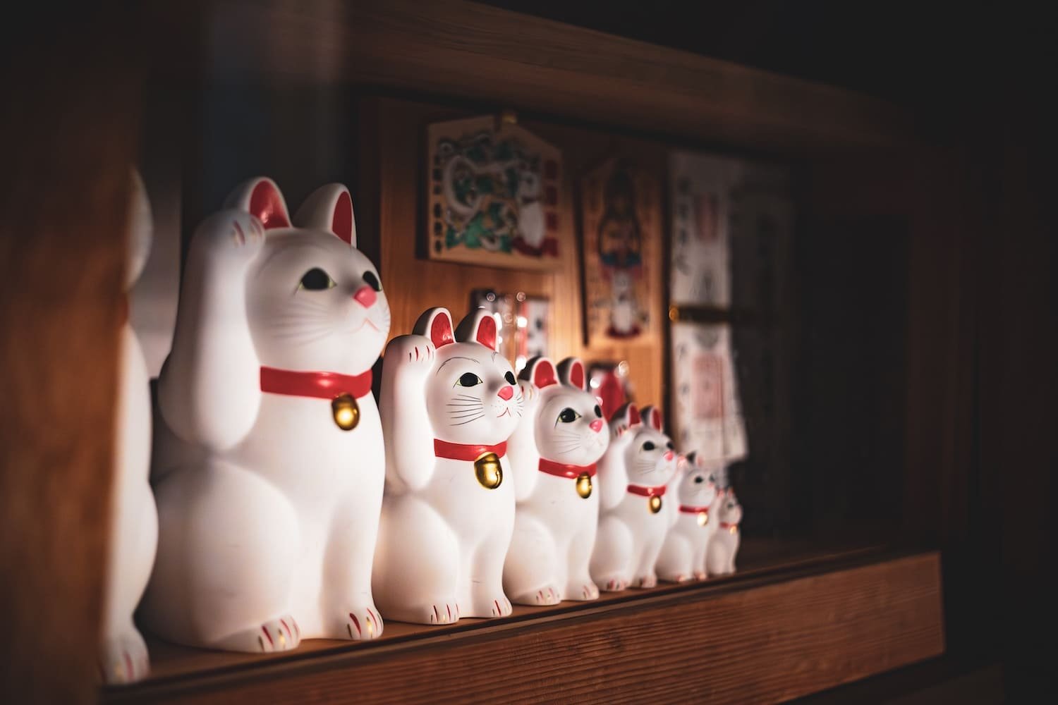 Line of ceramic Maneki-neko lucky cat figurines with raised paws, white with red collars and gold bells, displayed on a wooden shelf against a wooden wall with Japanese artwork.