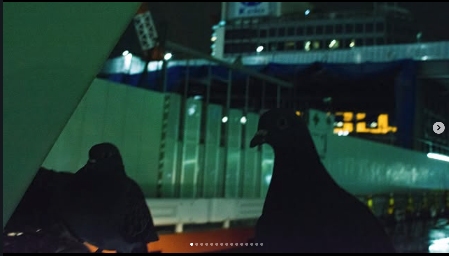 Two pigeons perched on a ledge at night with city lights and construction scaffolding in the background.