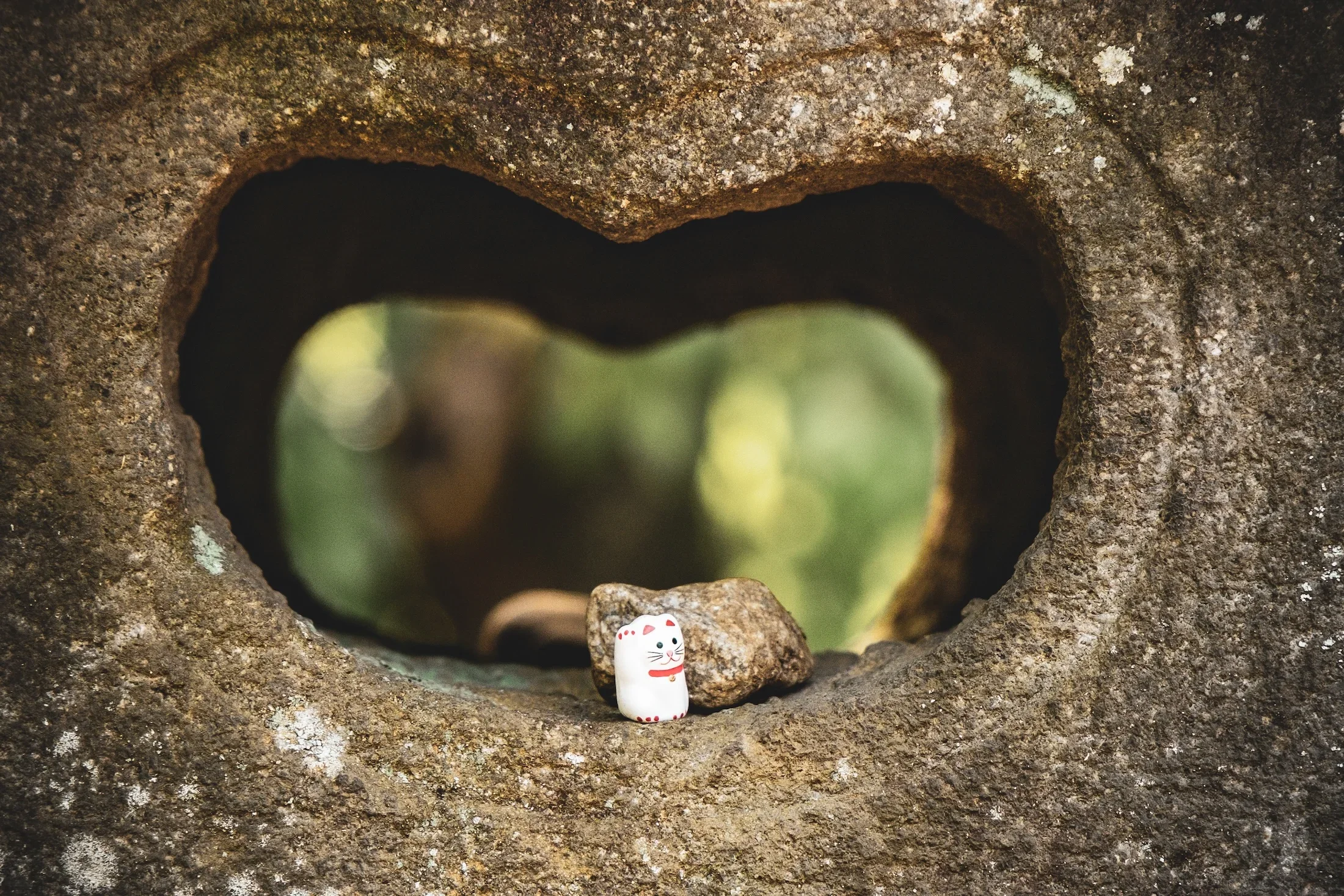 A small ceramic figurine of a white cat with red markings in a hole in a tree trunk.