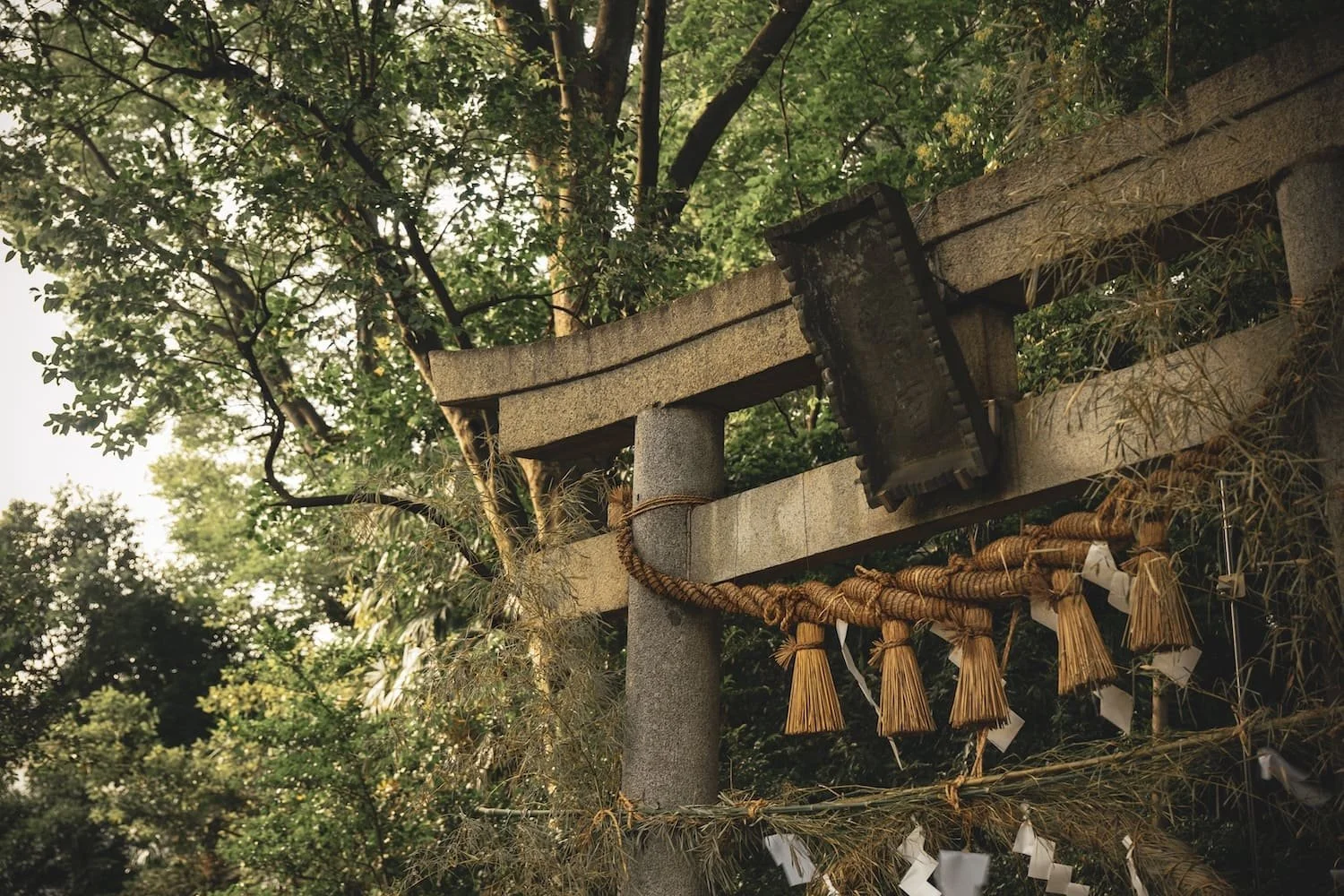 A traditional Japanese torii gate made of stone, decorated with shimenawa rope and paper strips, surrounded by lush green trees.
