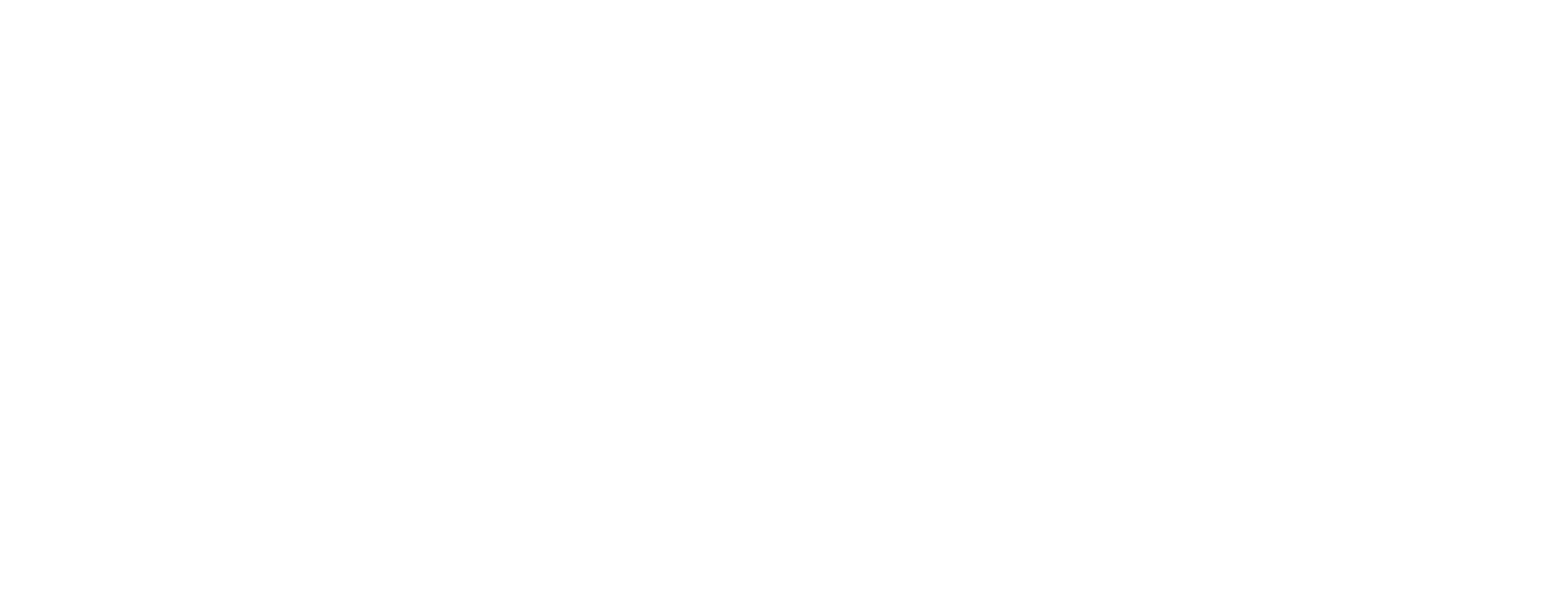 distressed white text reading 'SHIN LU HUNTER' on a black background.