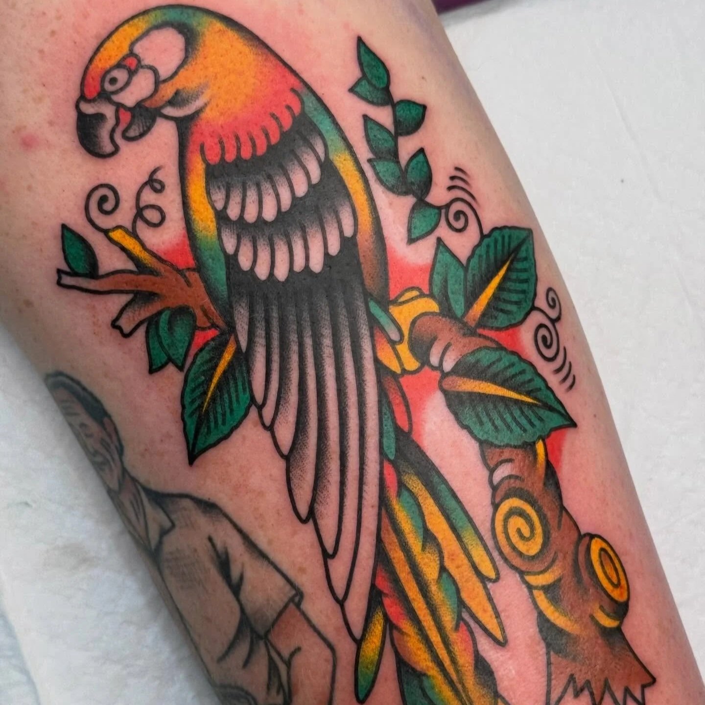 traditional parrot tattoo australian tattoo designs