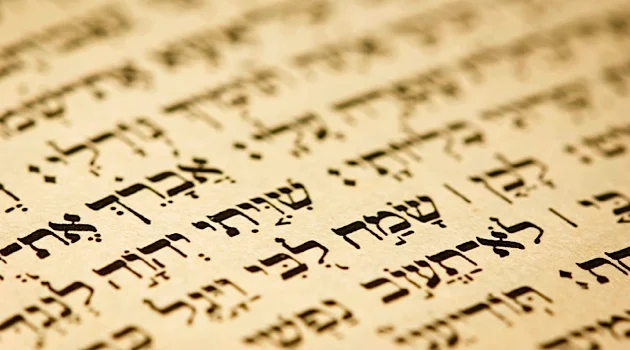 Spirit of the Law VIII: Assorted Mitzvot