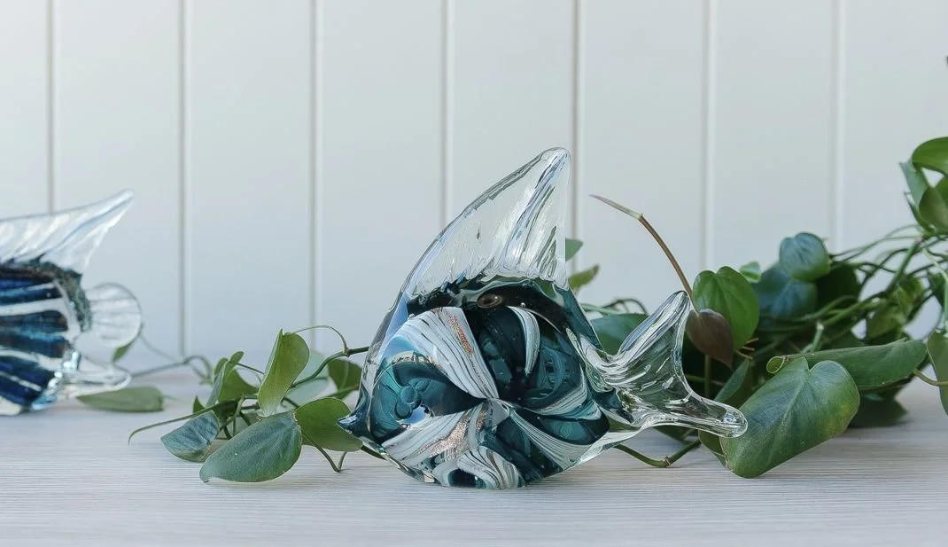 Pacific Glass Angel Fish 1.jpeg