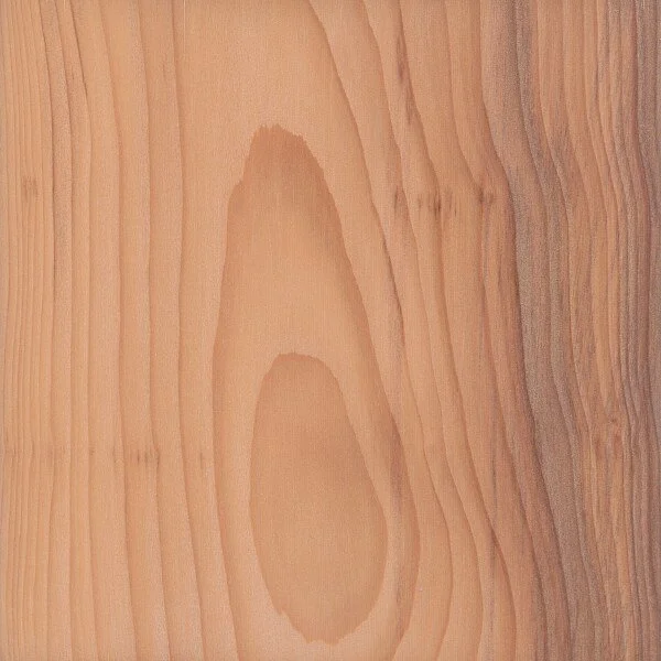 Close-up of a wooden surface with natural grain patterns and a light finish.