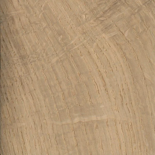 Close-up of a light-colored wooden surface with natural grain patterns and textures.