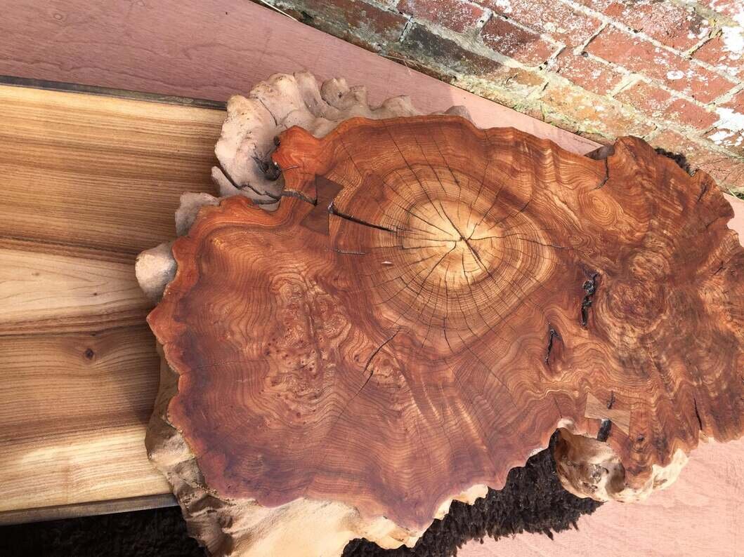 Close-up of a polished wooden slab with visible growth rings, cracks, and natural edges, placed against a brick wall background.