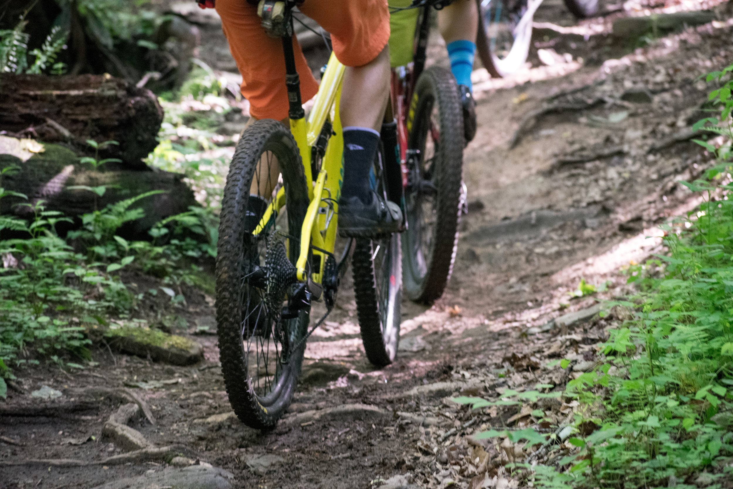 Mountain Bikes travel along a trail on a guided ride in Pisgah National Forest