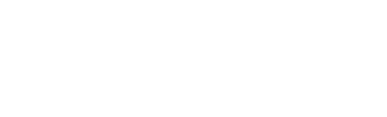 White logo for the singletracks magazine