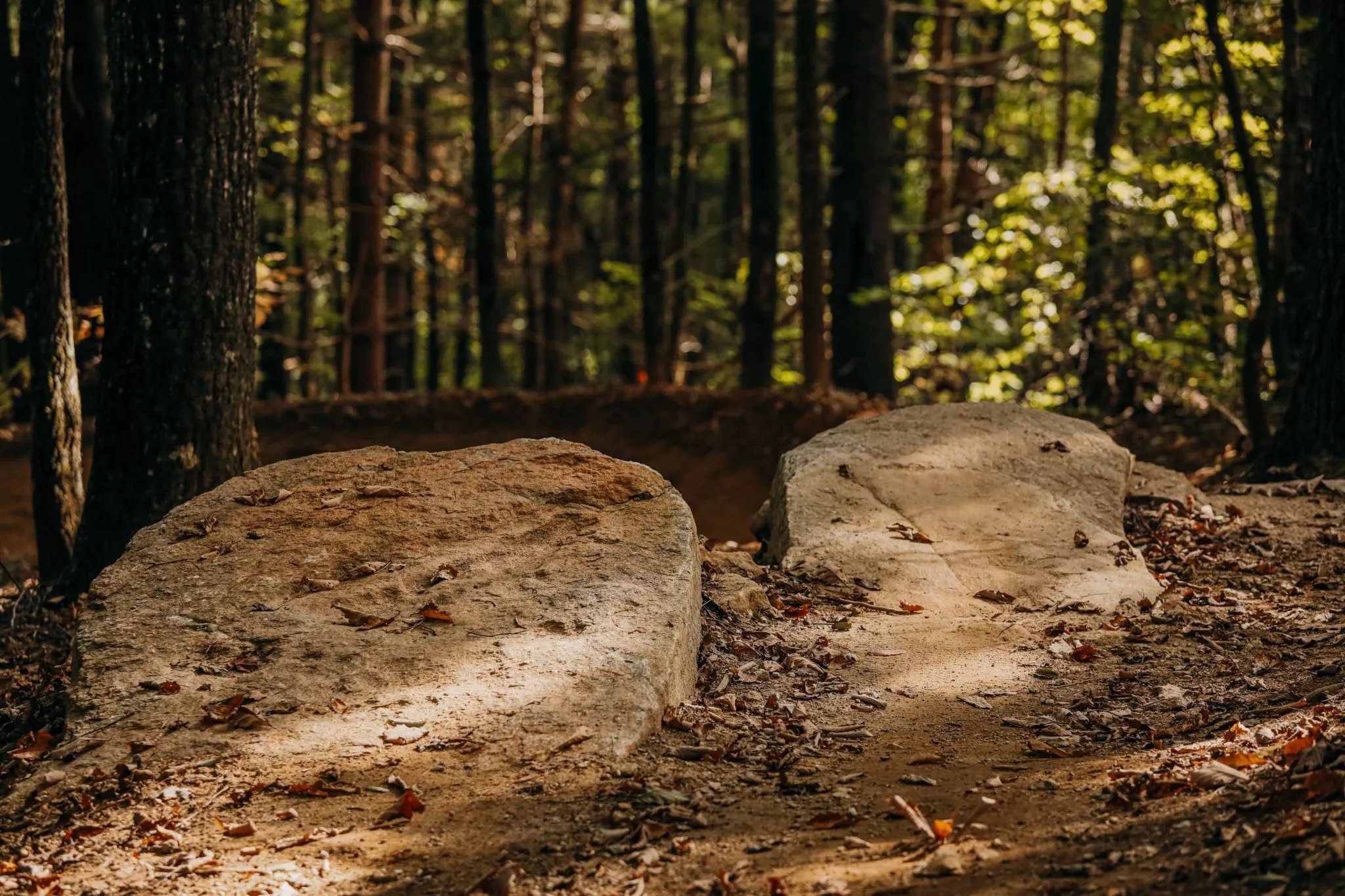 Mountain Bike Natural Rock Drops at Kanuga