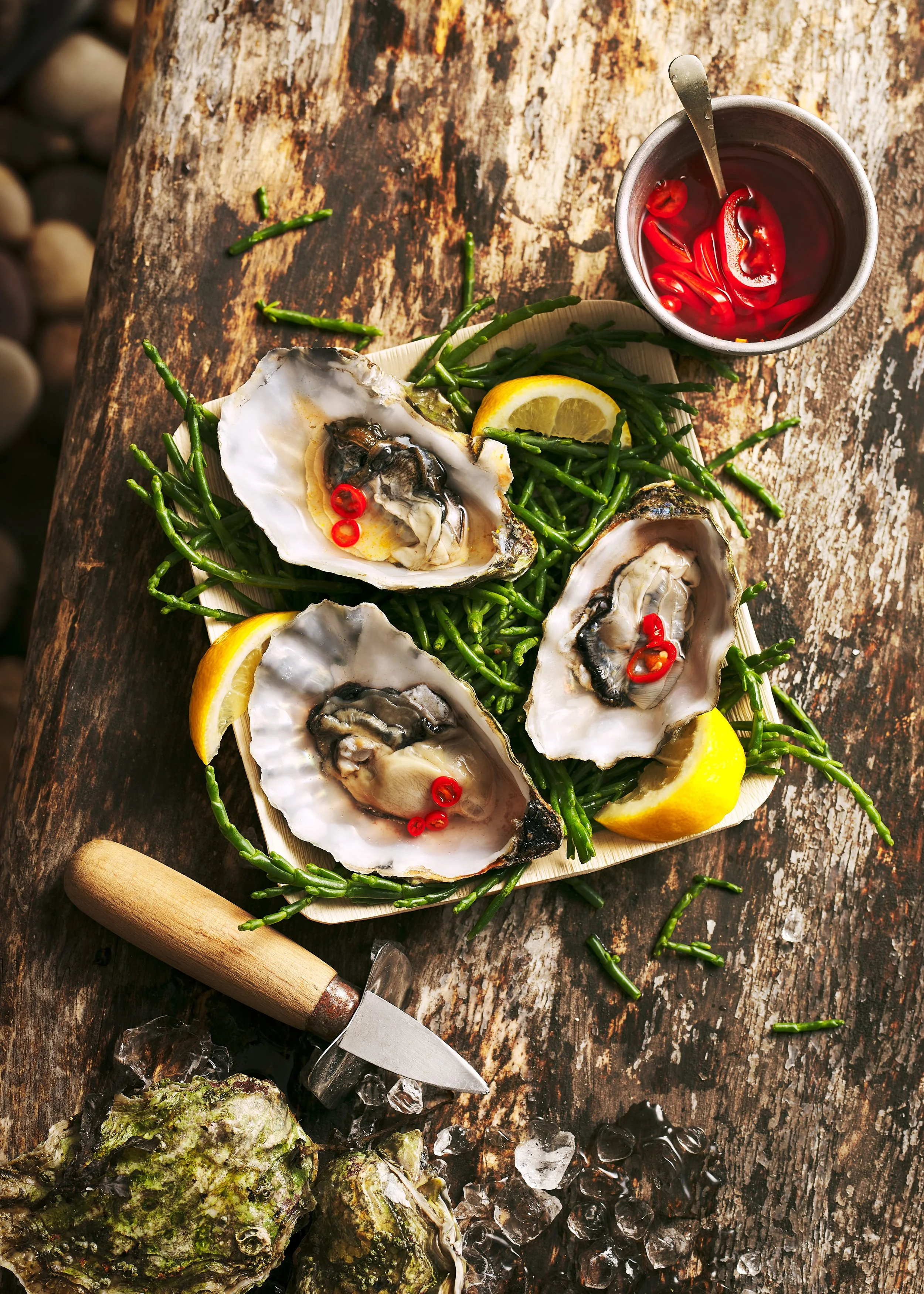 SpringSummerBeachPicnic_Feb22_Test_BecciHutchings_0935_Oysters.jpg