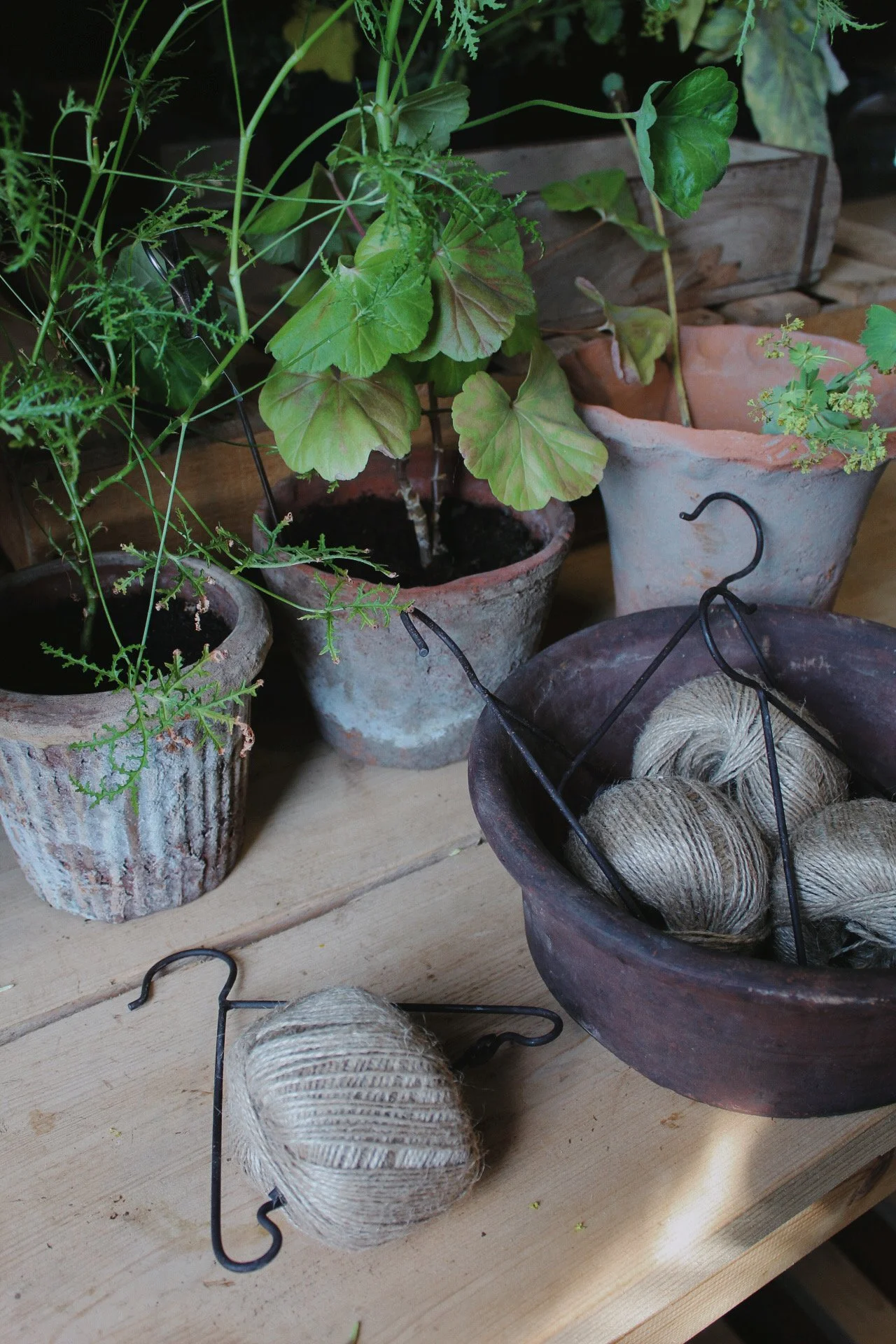 Garden twine holder with natural jute twine beside a terracotta pot in the greenhouse.