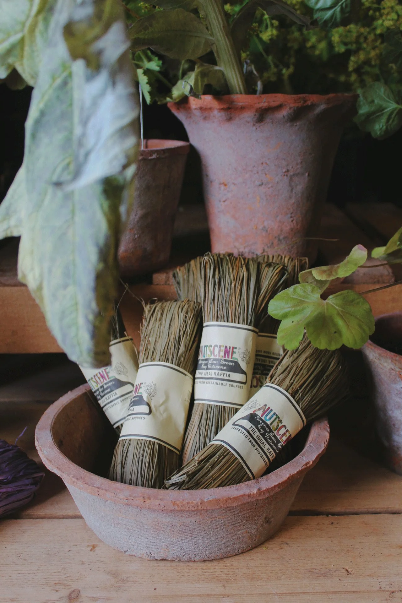 Mossing raffia in Wild Rose, Olivine and Blush