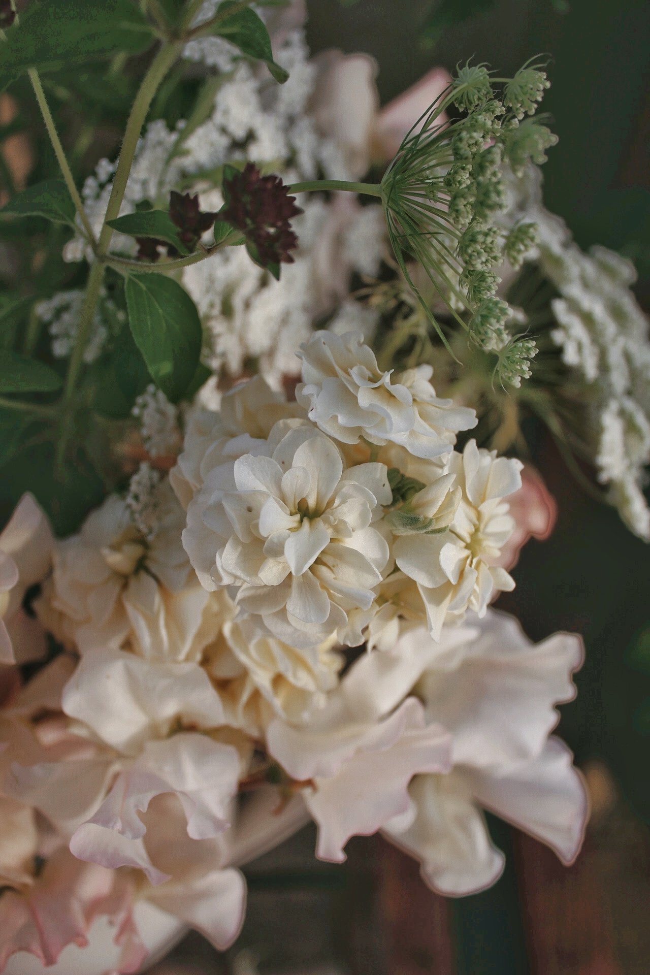 Spring Bourquet Seed Box
