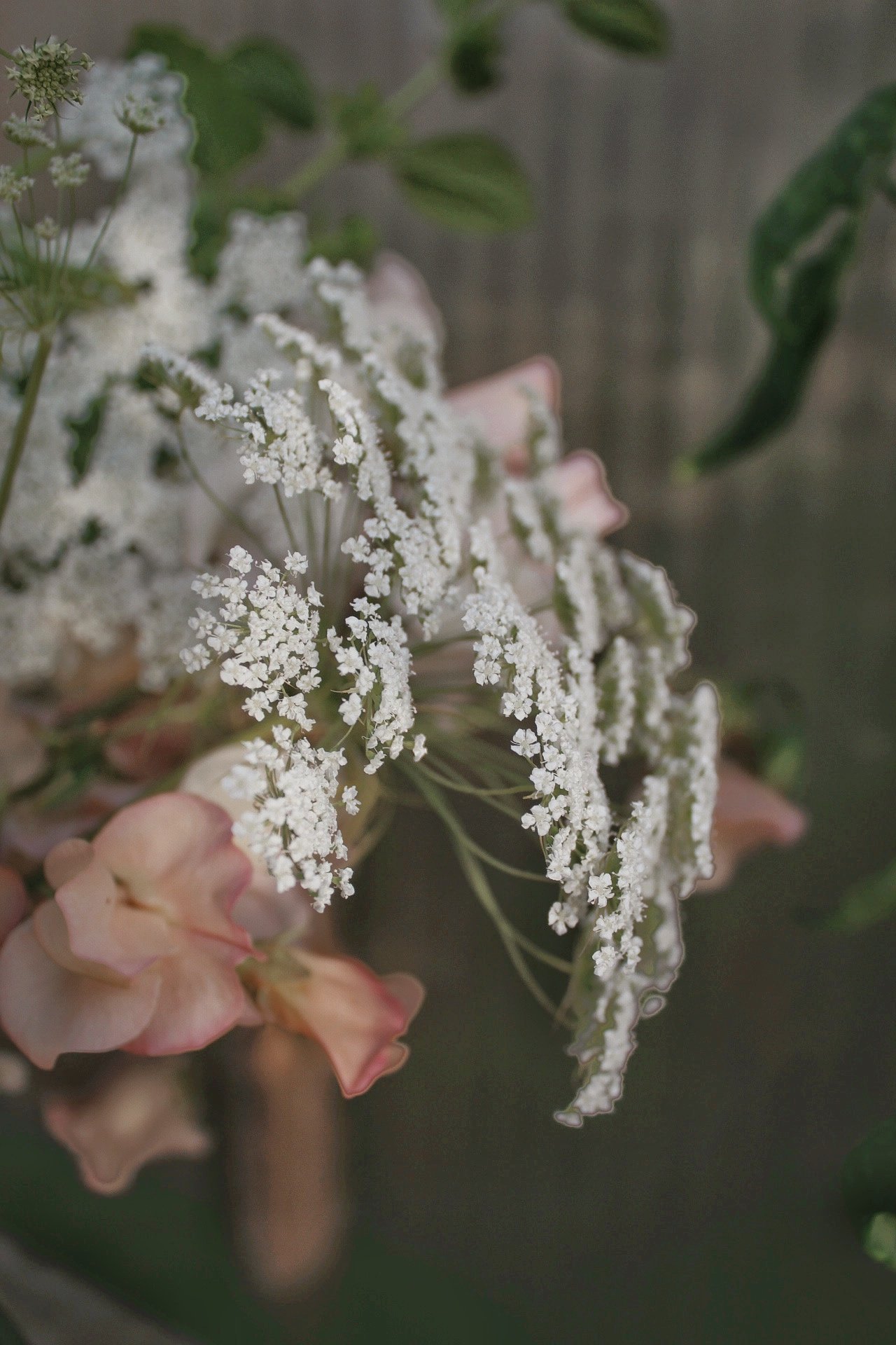 Spring Bouquet Seed Box