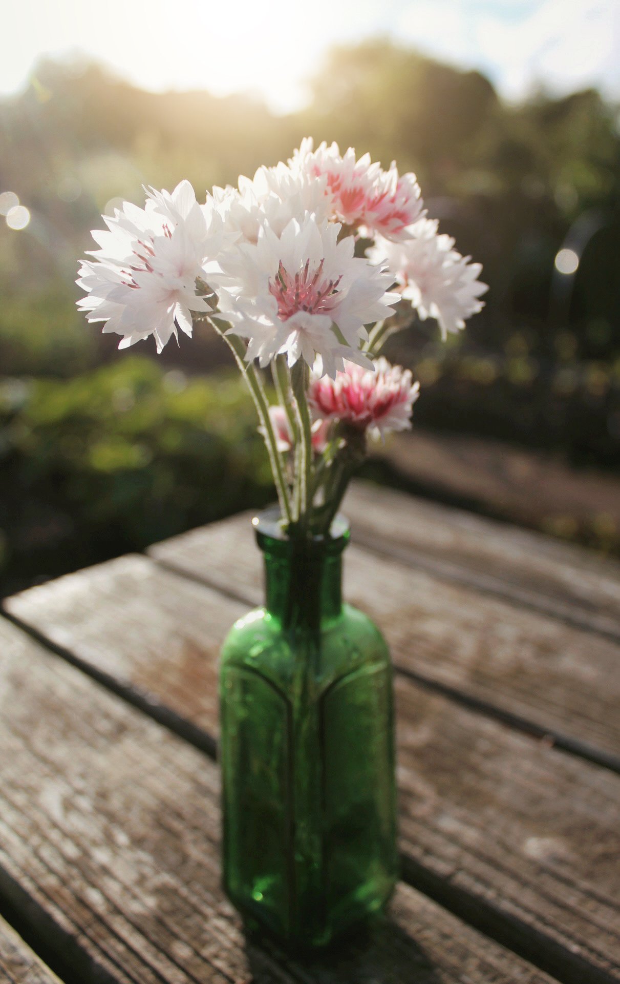 Cornflower Romantic Mix