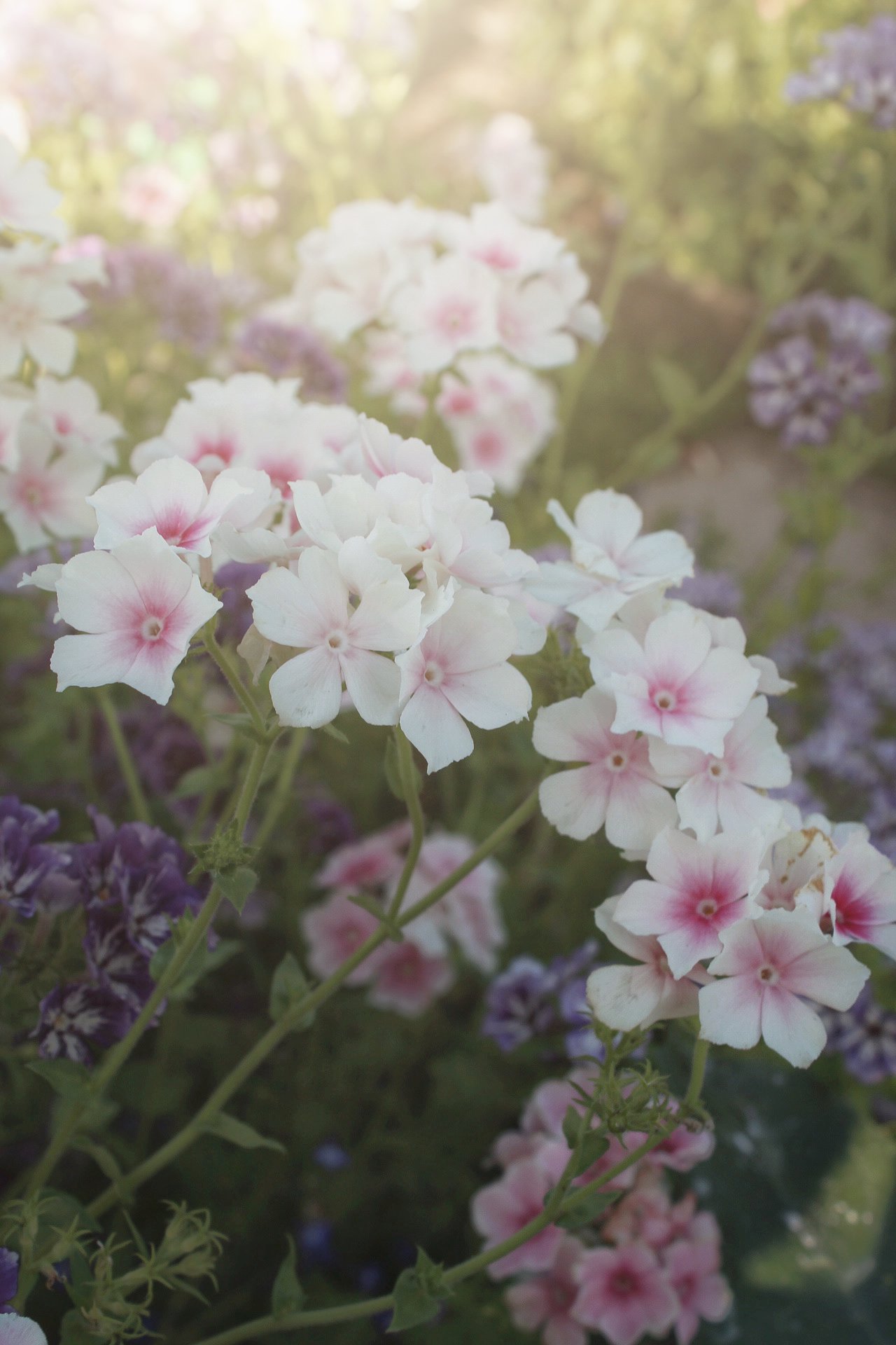 ld-export-671d1ae0-08302023.jpeg