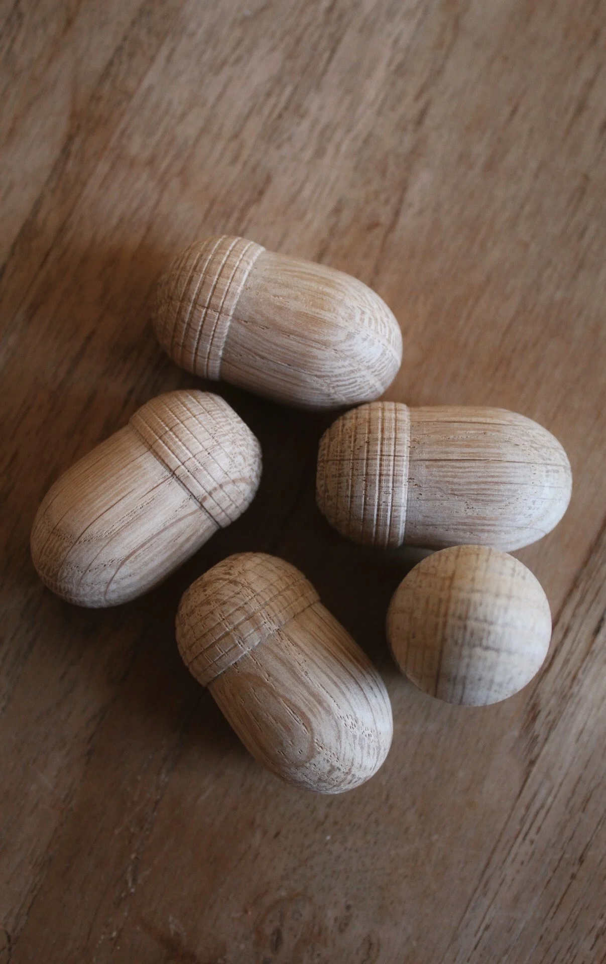 Nutscene oak acorn cane toppers made from hand-crafted oak for garden canes