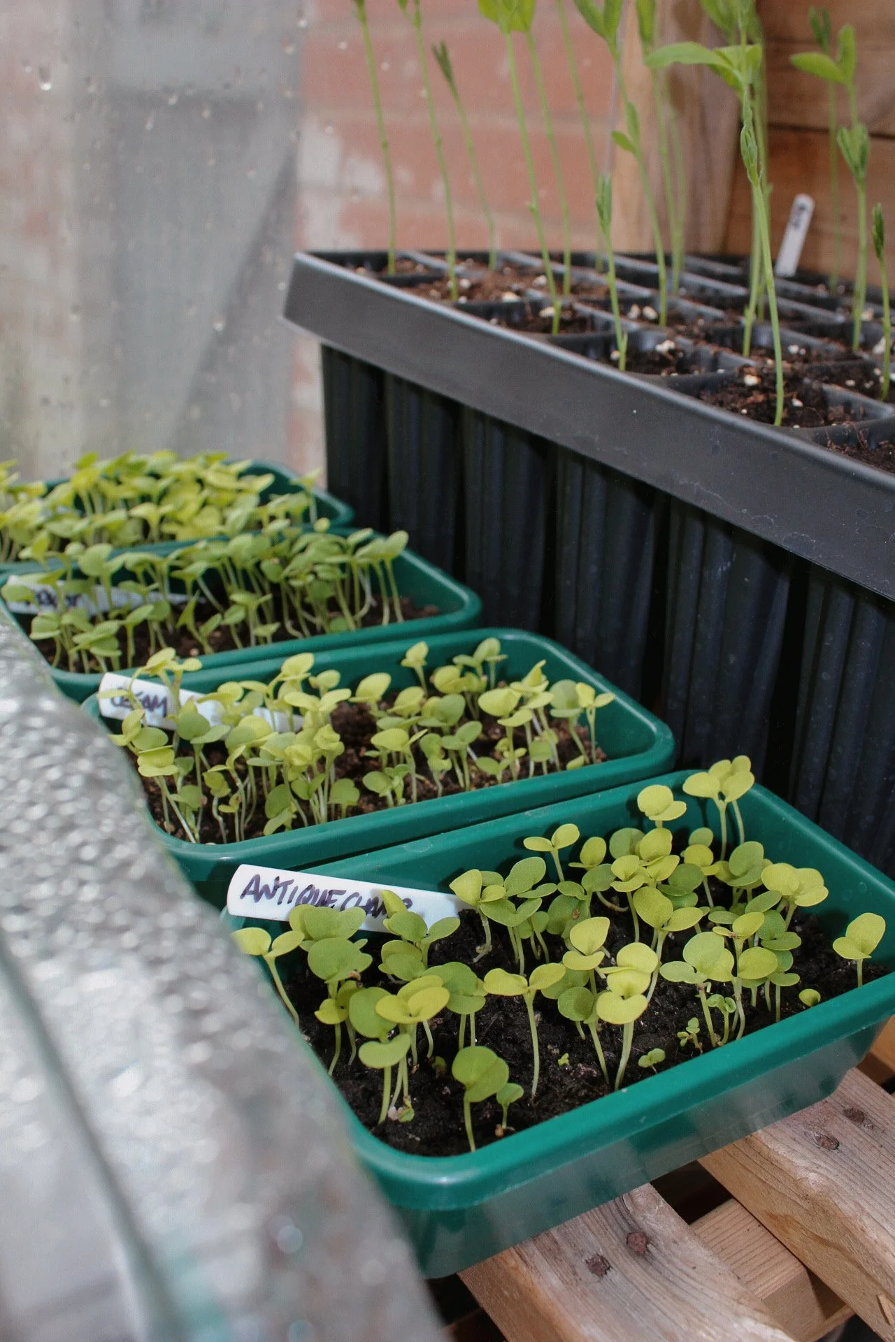 From the Worktable: Stocks
