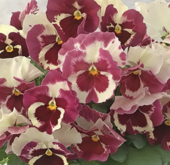 Screenshot 2026-04-03 at 08.46.12.png