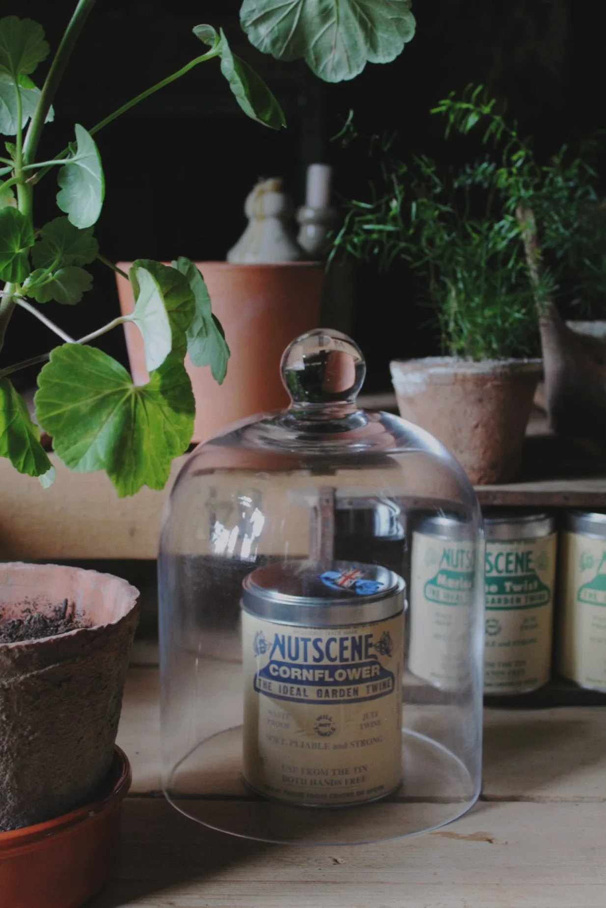 Twine in a Tin